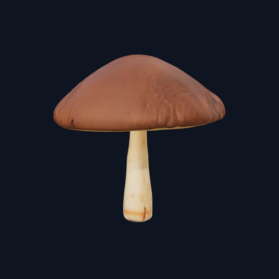 Realistic Mushroom Model Pack